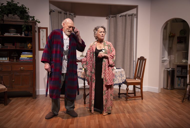 Joel Leffert and Nancy Nichols in THE SWEET SPOT