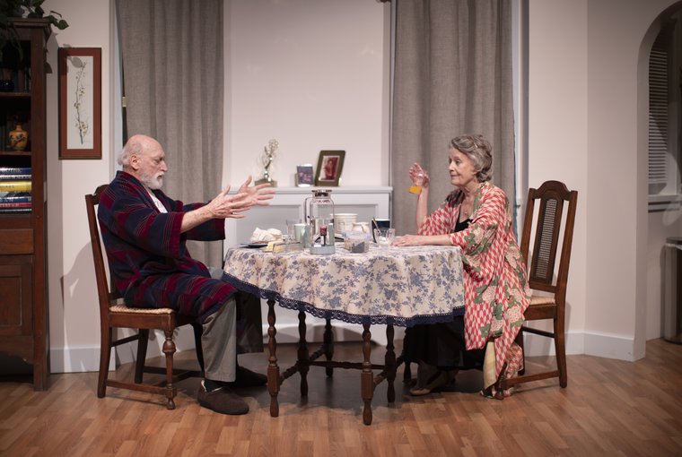 Joel Leffert and Nancy Nichols in THE SWEET SPOT