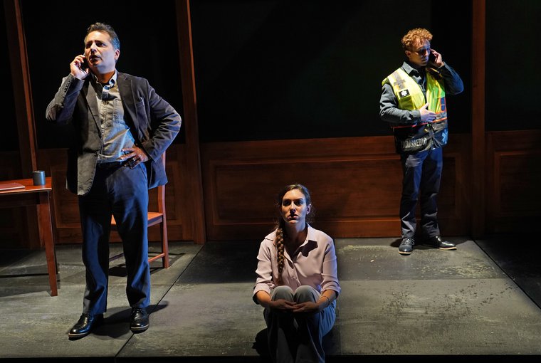 Firdous Bamji, Dani Stoller, and Ethan J. Miller in THIS MUCH I KNOW